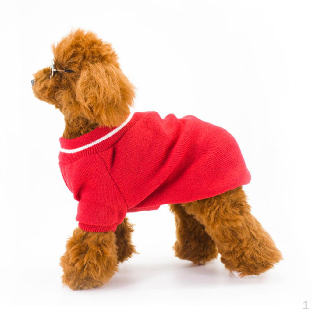 Fashion Sweater, Teddy Poodle Holiday Party Dress Red M
Fashion Sweater, Teddy Poodle Holiday Party Dress Red M