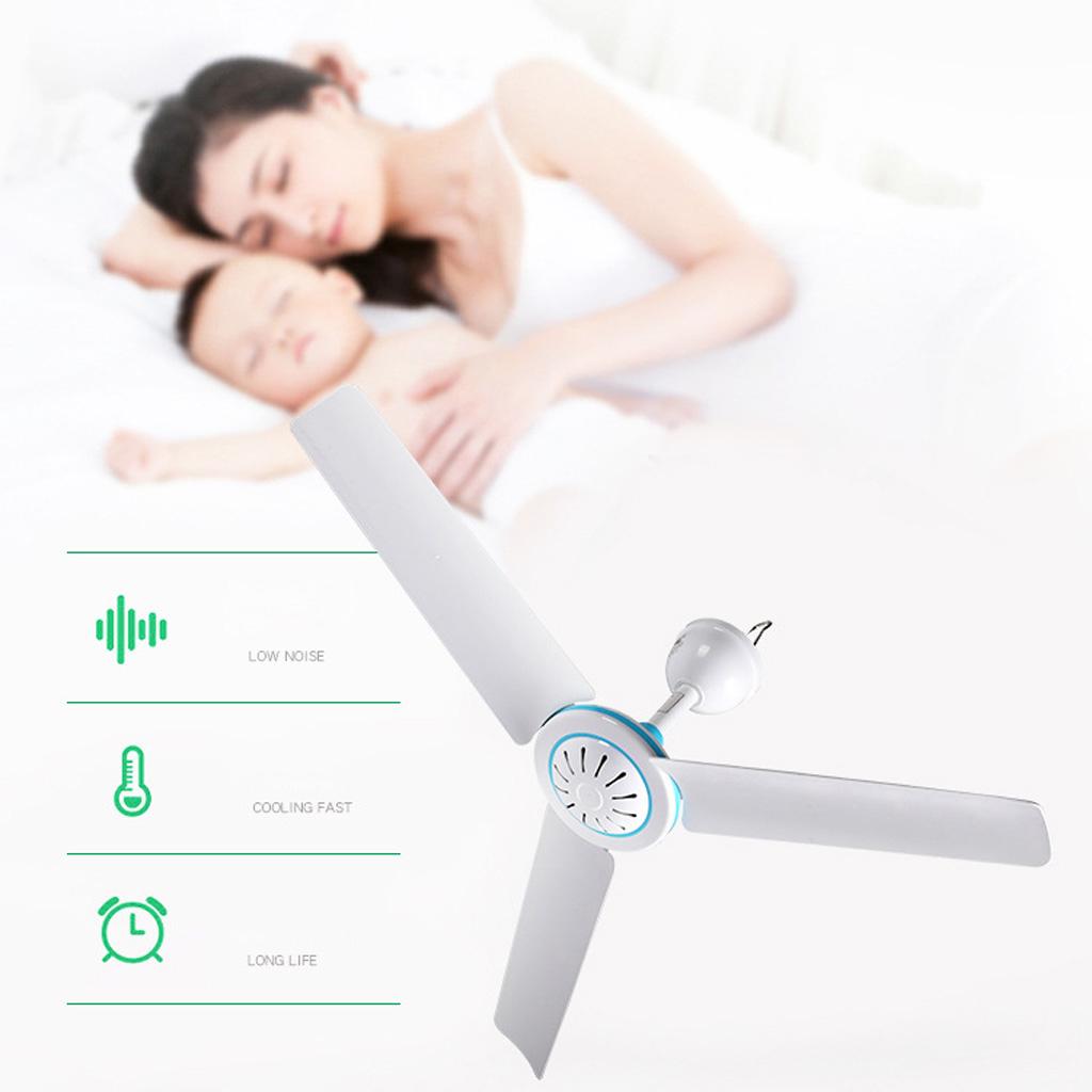 Universal Household 12V Ceiling Fan Air Cooler Hanging Tent Fans with 2.4m Cable for Home Bed Camping Outdoor Office
Universal Household 12V Ceiling Fan Air Cooler Hanging Tent Fans with 2.4m Cable for Home Bed Camping Outdoor Office