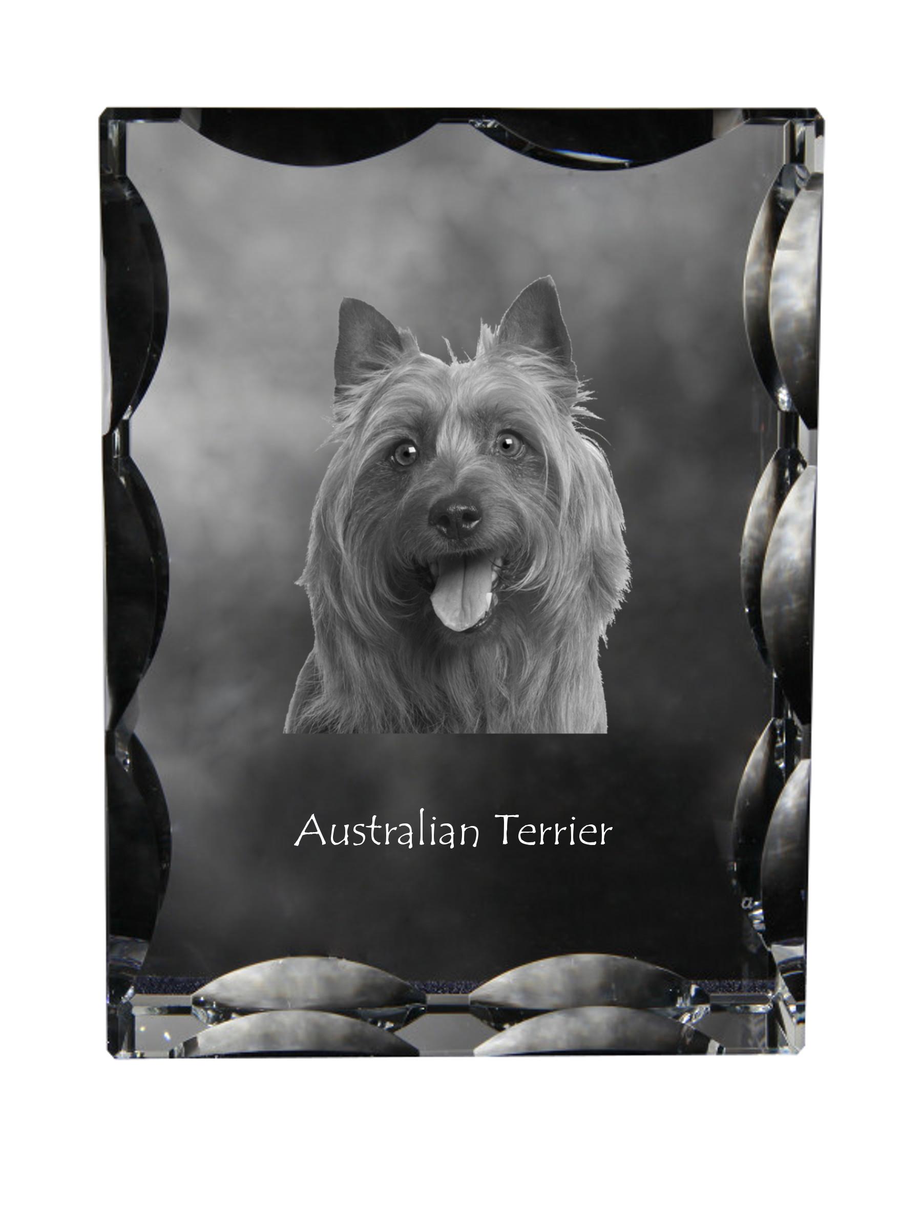 Australian Terrier, Aussie - crystal with a picture of a dog, glass statuette with a picture, unique frame with a picture from Art-Dog brand прозорий
Australian Terrier, Aussie - crystal with a picture of a dog, glass statuette with a picture, unique frame with a picture from Art-Dog brand прозорий