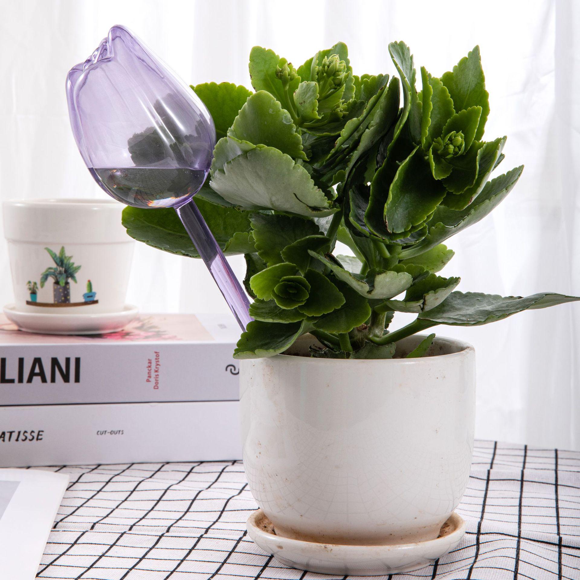 Автоматичний скляний пристрій для напування птахів - крапельниця для подорожей і розчин для ледачого поливу Single Pack
Автоматичний скляний пристрій для напування птахів - крапельниця для подорожей і розчин для ледачого поливу Single Pack