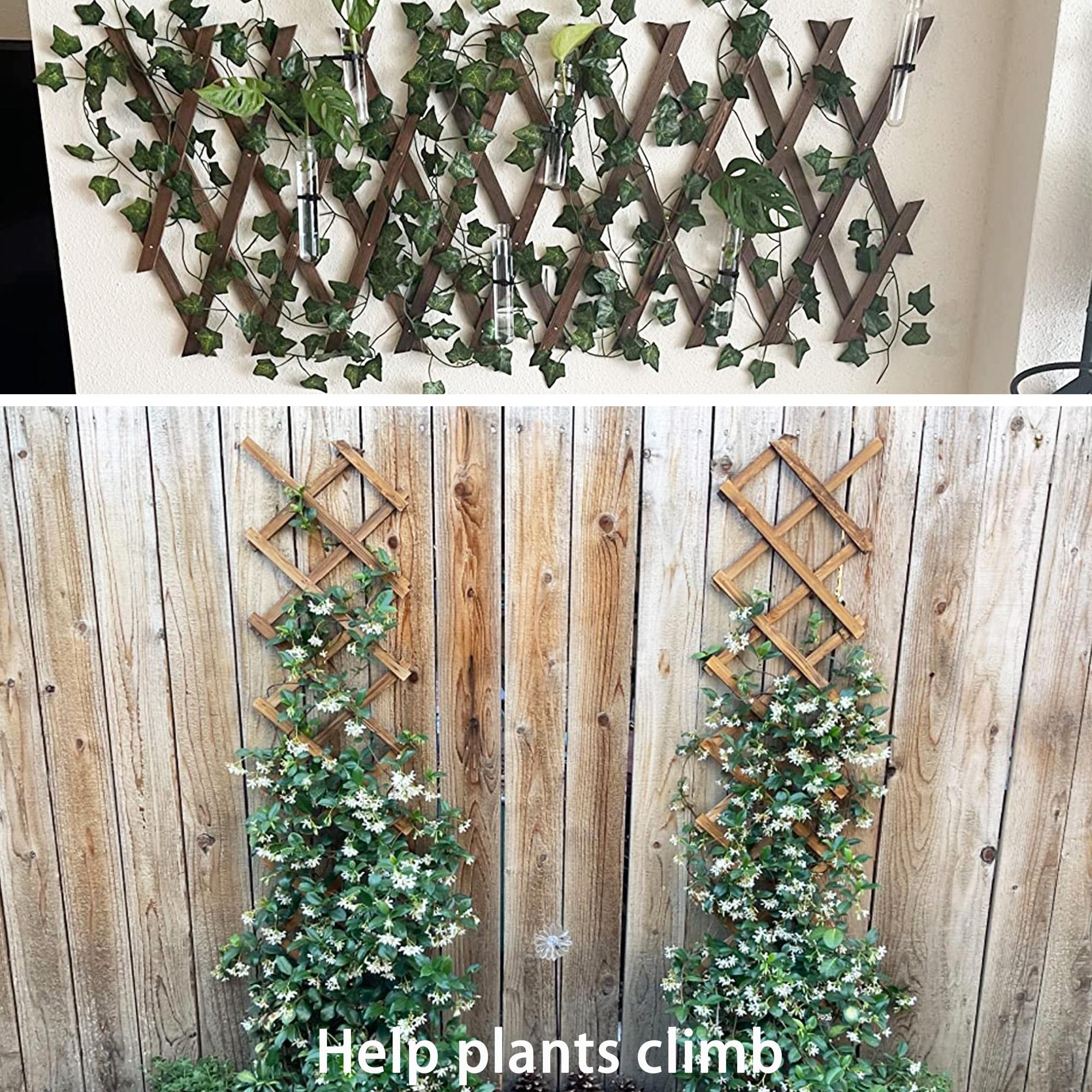 Wooden Lattice Wall 2Pack-Expandable Plant Garden Trellis for Climbing Plants Outdoor Air Plant Vertical Rack Wall Decor for Roo
Wooden Lattice Wall 2Pack-Expandable Plant Garden Trellis for Climbing Plants Outdoor Air Plant Vertical Rack Wall Decor for Roo