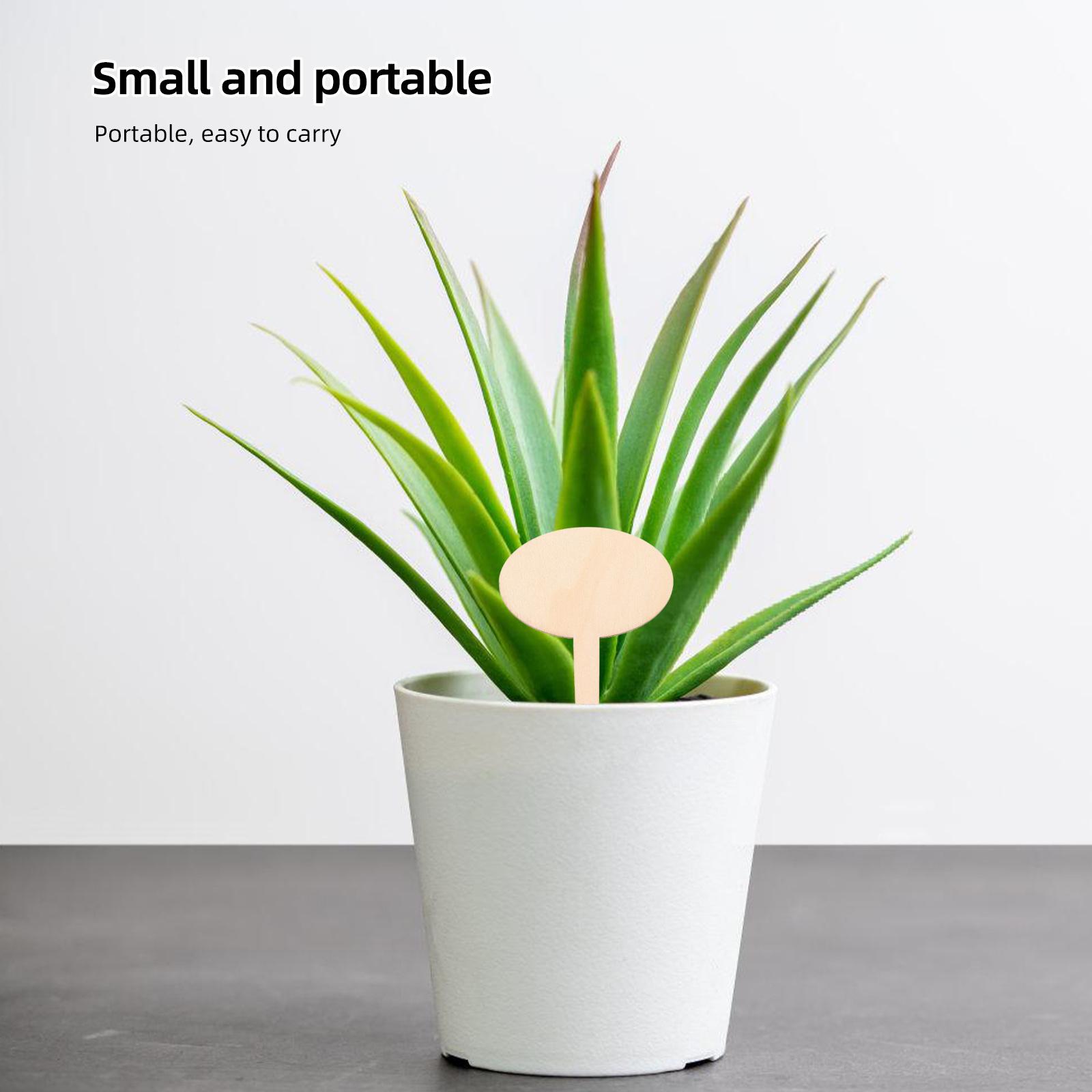 20Pcs Wooden Plant Markers for Succulents Garden Label Stakes Outdoor Plants Flower Tags Seedling Identification Supplies 10.7X6X0.3CM
20Pcs Wooden Plant Markers for Succulents Garden Label Stakes Outdoor Plants Flower Tags Seedling Identification Supplies 10.7X6X0.3CM