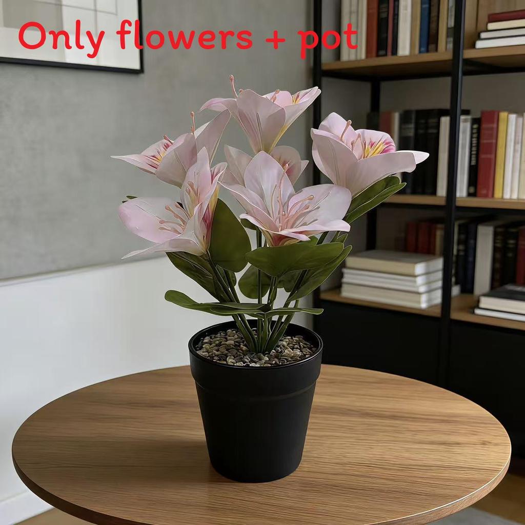 Simulation Yulania Denudata Potted Plant With Plastic Material For Home Decor And Photography LightPink
Simulation Yulania Denudata Potted Plant With Plastic Material For Home Decor And Photography LightPink