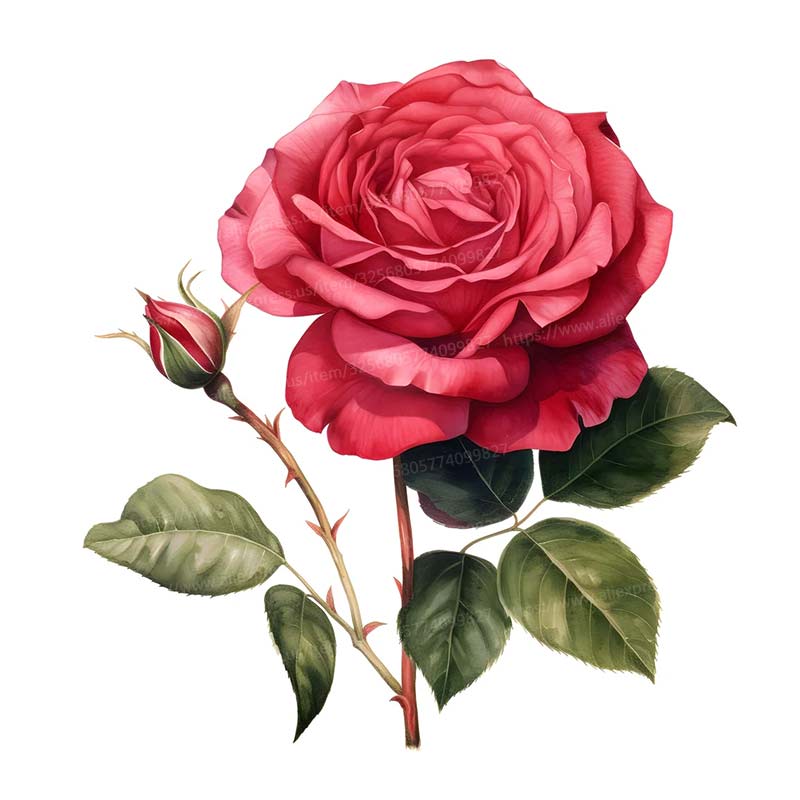 Watercolor Rose Flowers Wall Sticker Bathroom Toilet Decor Decals Living Room Cabinet Kids Room Home Decoration Transparent Stickers Decals S352 F-15cm Longest Side
Watercolor Rose Flowers Wall Sticker Bathroom Toilet Decor Decals Living Room Cabinet Kids Room Home Decoration Transparent Stickers Decals S352 F-15cm Longest Side