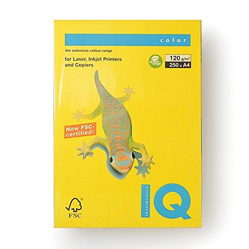 Bio Top Color Mustard A4/120g 250T
Bio Top Color Mustard A4/120g 250T