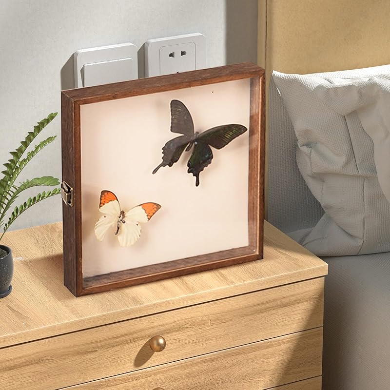 SKTMH wooden specimen box specimen box specimen case Fashionable vinegar dustproof with transparent window display box DIY insect flower photograph
SKTMH wooden specimen box specimen box specimen case Fashionable vinegar dustproof with transparent window display box DIY insect flower photograph