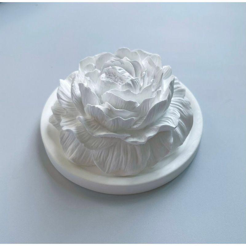 High-Quality Peony Flower Aroma Diffuser Gypsum Car and Home Fragrance Ornament Peony Flower Type a (Free 5ml Essential Oil)
High-Quality Peony Flower Aroma Diffuser Gypsum Car and Home Fragrance Ornament Peony Flower Type a (Free 5ml Essential Oil)
