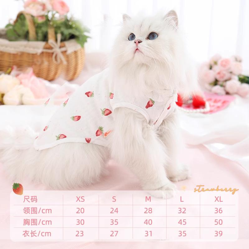 Breathable Thin Anti-Shedding Cat Vest Cute Strawberry Print Spring Summer Pet Shirt 5 Sizes XS-XL For Daily Wear XS: Chest 30cm, 0.5-1.5kg
Breathable Thin Anti-Shedding Cat Vest Cute Strawberry Print Spring Summer Pet Shirt 5 Sizes XS-XL For Daily Wear XS: Chest 30cm, 0.5-1.5kg