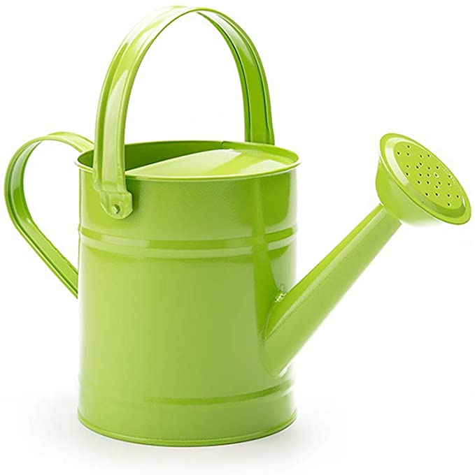 Multi-Color Metal Watering Can With W/O-Ring,Top Handle,Small Portable Watering Equipment for Indoor Outdoor Garden Plant светло-зеленый
Multi-Color Metal Watering Can With W/O-Ring,Top Handle,Small Portable Watering Equipment for Indoor Outdoor Garden Plant светло-зеленый