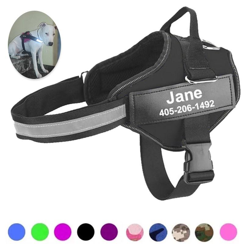 Dog Harness Adjustable Pet Vest Reflective Breathable Outdoor Walking Dog Supplies for Small Large Dogs No customization XS
Dog Harness Adjustable Pet Vest Reflective Breathable Outdoor Walking Dog Supplies for Small Large Dogs No customization XS