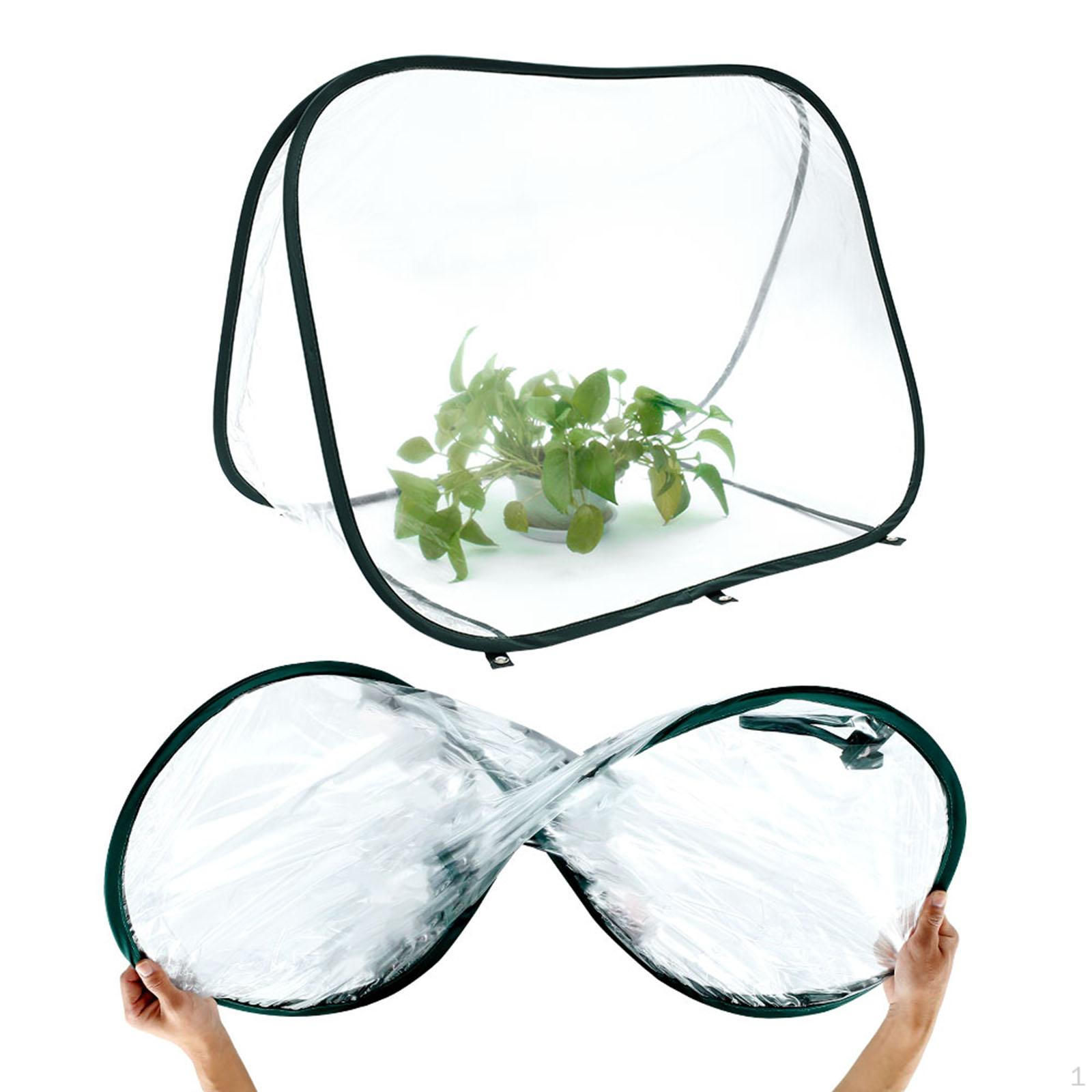 Mini Garden Greenhouse Plant Flower Growing Tent for Backyard Outdoor Yard
Mini Garden Greenhouse Plant Flower Growing Tent for Backyard Outdoor Yard