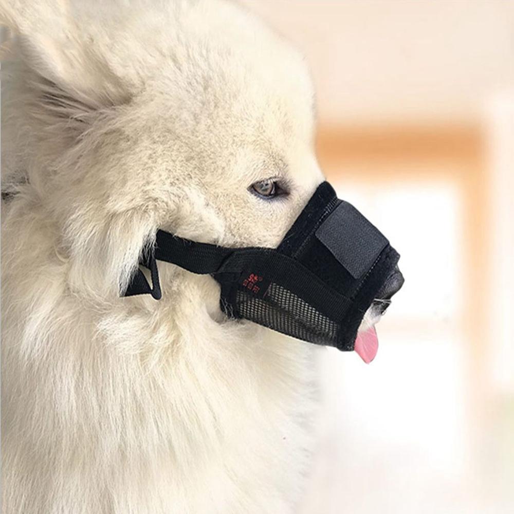 Chewing Anti-Bite Nylon Mesh Breathable Adjustable Mouth Mask Protection Pet Mouth Cover Dog Muzzle XL оранжевый
Chewing Anti-Bite Nylon Mesh Breathable Adjustable Mouth Mask Protection Pet Mouth Cover Dog Muzzle XL оранжевый