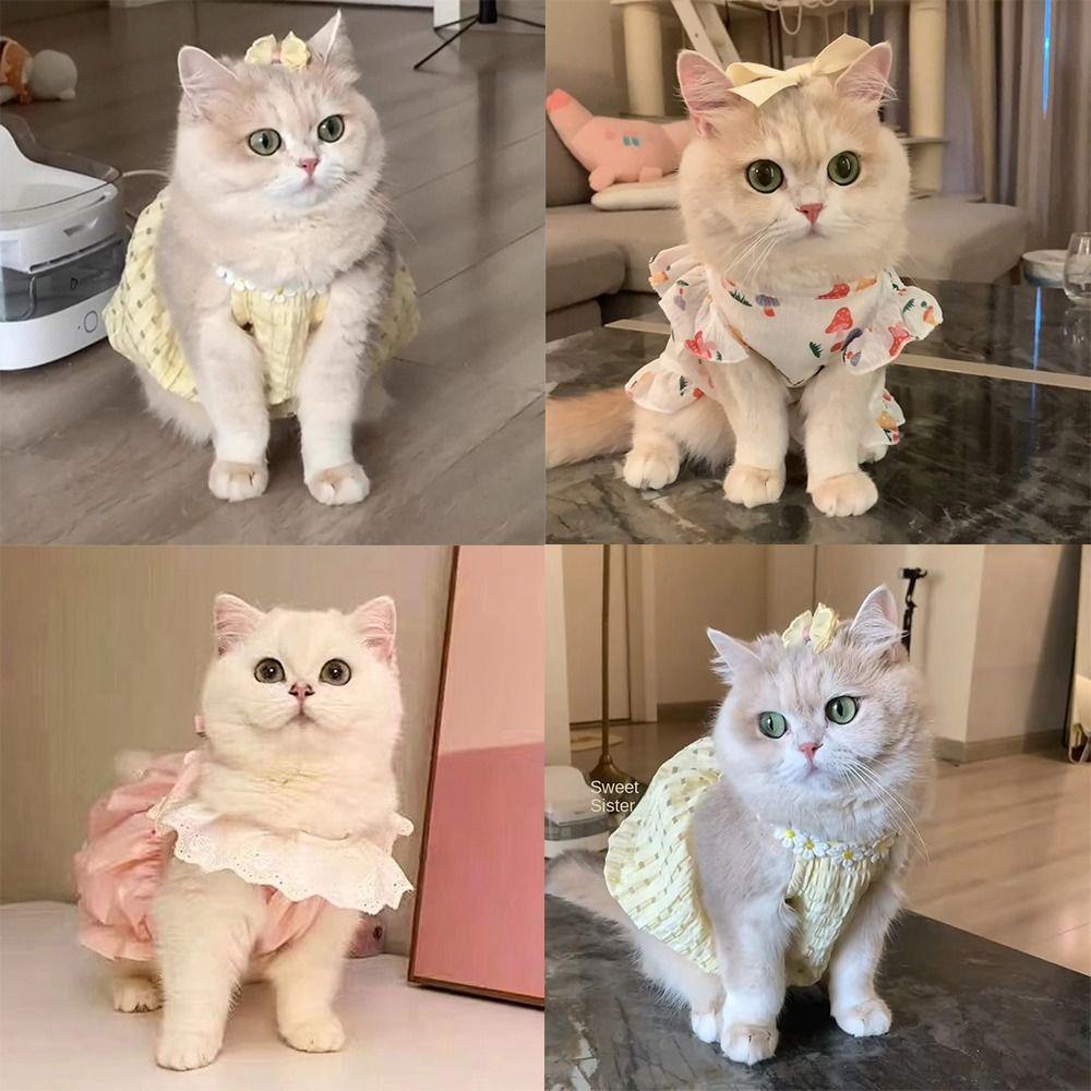 Sleeveless Pet Dog Dress Summer Clothes Pet Clothes Puppy Skirt Chihuahua Bichon French Bulldog L-Mushrooms
Sleeveless Pet Dog Dress Summer Clothes Pet Clothes Puppy Skirt Chihuahua Bichon French Bulldog L-Mushrooms