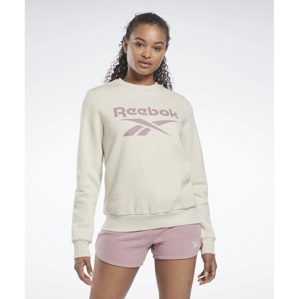 Толстовка REEBOK Vector Brushed W цвета слоновой кости HK6816
Толстовка REEBOK Vector Brushed W цвета слоновой кости HK6816