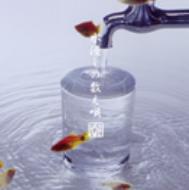 CD EPHEMERA Mizubitashi no kazoe uta LZL002 LIZARD 2002 Japan ObiJapanese PopRock Used
CD EPHEMERA Mizubitashi no kazoe uta LZL002 LIZARD 2002 Japan ObiJapanese PopRock Used