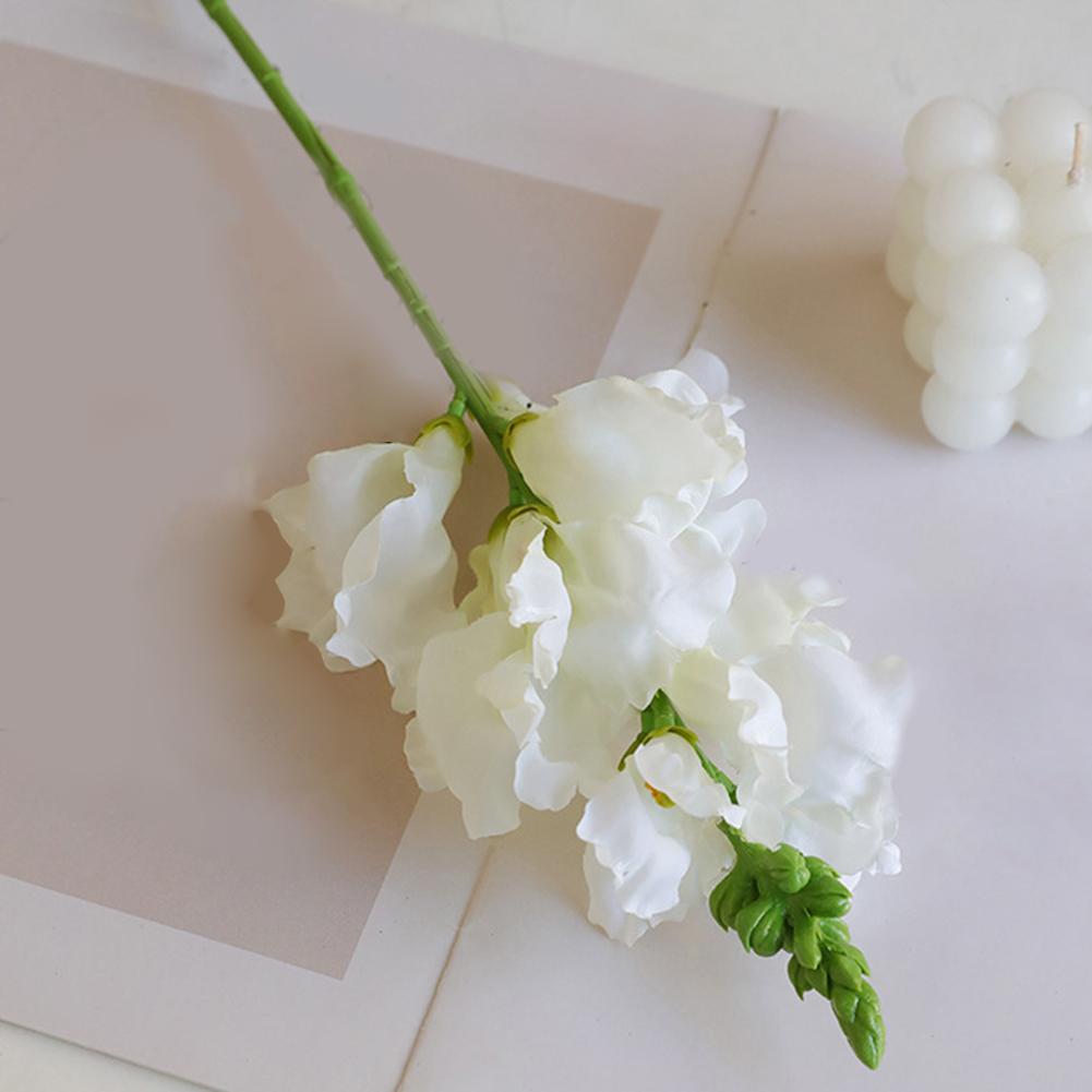 Decorative Flowers Flexible Arrangements As Shown Artificial Hyacinth Flowers Creative Arrangements Elegant Aesthetics белый
Decorative Flowers Flexible Arrangements As Shown Artificial Hyacinth Flowers Creative Arrangements Elegant Aesthetics белый