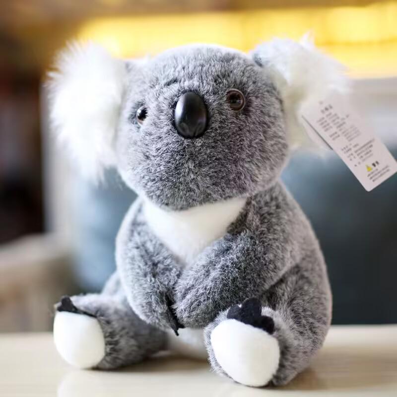 Australian Koala Plush Toy - Soft Cloth Doll for Girls Birthday Gift 14 cm (without clasped hands)
Australian Koala Plush Toy - Soft Cloth Doll for Girls Birthday Gift 14 cm (without clasped hands)