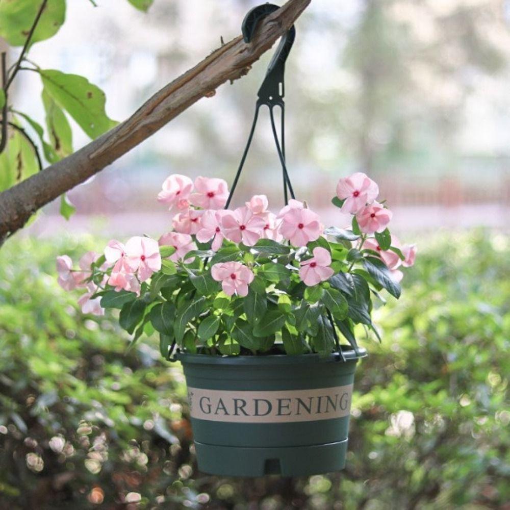 With Hook Hanging Basket Removable Flower Pots Portable Wall Hanging Flower Pot Planting Supplies
With Hook Hanging Basket Removable Flower Pots Portable Wall Hanging Flower Pot Planting Supplies