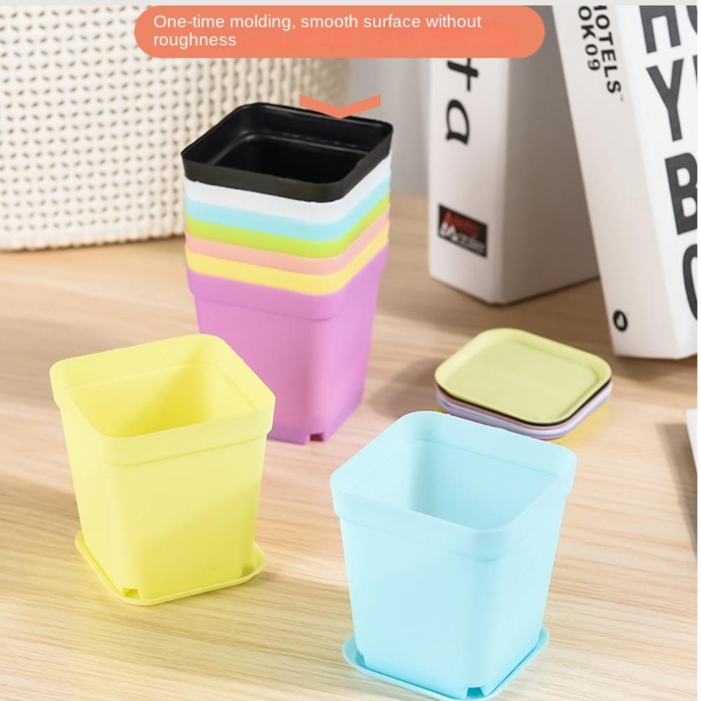 20pcs Succulent Plant Decor Tray Planter Saucer Nursery Vase Mix Color Flower Pots
20pcs Succulent Plant Decor Tray Planter Saucer Nursery Vase Mix Color Flower Pots