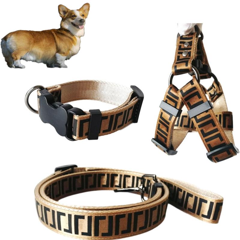 Pet Traction Rope Tactical Dog Leash Outdoor Training Large DogsRetractable Explosion-proof Dog Leash S(2.5cmwide)
Pet Traction Rope Tactical Dog Leash Outdoor Training Large DogsRetractable Explosion-proof Dog Leash S(2.5cmwide)