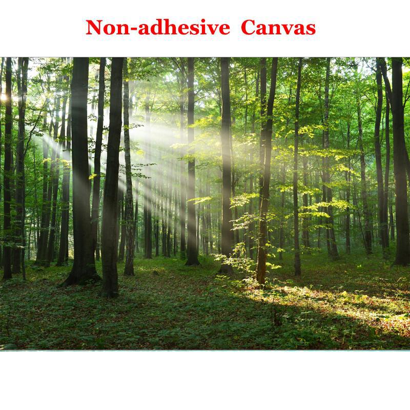 Пользовательские 3D фотообои Лес Солнечный свет Зеленый Лес Настенная роспись Спальня Гостиная Диван ТВ Фон Papier Peint Mural 3D 500cm (W) x 300cm (H)
Пользовательские 3D фотообои Лес Солнечный свет Зеленый Лес Настенная роспись Спальня Гостиная Диван ТВ Фон Papier Peint Mural 3D 500cm (W) x 300cm (H)