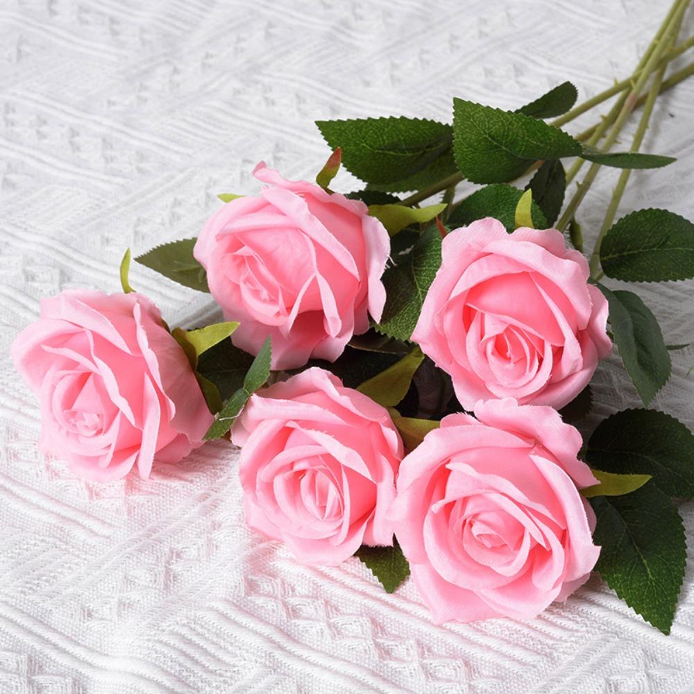 5pcs New 10 Colors Simulated Rose DIY Party Decoration Festival Supplies Vintage Silk Rose Artificial Flowers Home Decor розовый
5pcs New 10 Colors Simulated Rose DIY Party Decoration Festival Supplies Vintage Silk Rose Artificial Flowers Home Decor розовый