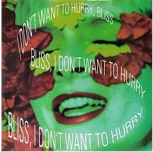 7inch Record BLISS I Dont Want To Hurry R6295 Parlophone 1991 UK Dance Electronica Used
7inch Record BLISS I Dont Want To Hurry R6295 Parlophone 1991 UK Dance Electronica Used