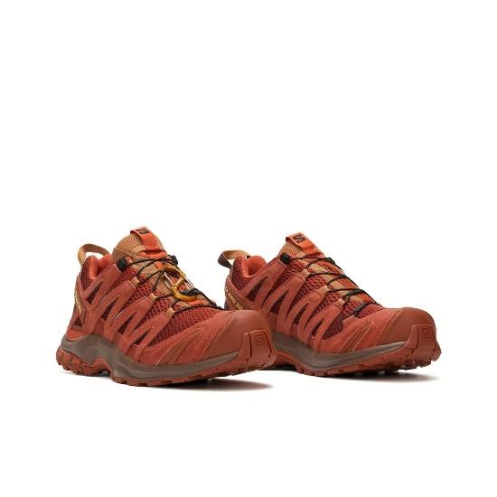SALOMON XA PRO 3D RED ASHES 479684 унісекс EU 36 коричневий
SALOMON XA PRO 3D RED ASHES 479684 унісекс EU 36 коричневий