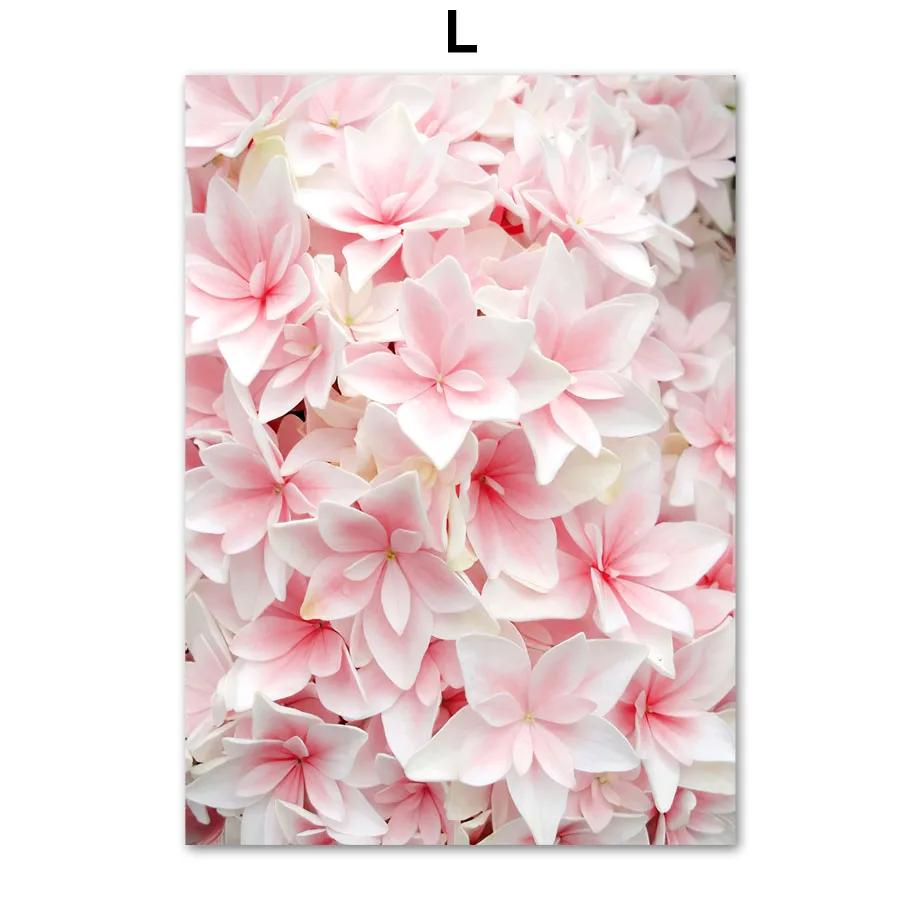 Розовые вишни в цвету Поезд Башня Париж Велосипед Скандинавские постеры и принты Картина на холсте Настенные художественные картины Гостиная Домашний декор 8X12inch 20x30cm
Розовые вишни в цвету Поезд Башня Париж Велосипед Скандинавские постеры и принты Картина на холсте Настенные художественные картины Гостиная Домашний декор 8X12inch 20x30cm