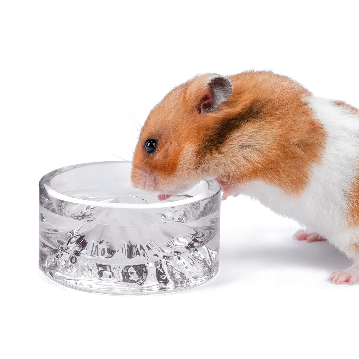 Niteangel Hamster Feeder Water Bowl Mount Fuji Series Glass Bowl Feeding Suitable for Pygmy Hamster Syrian Hamster Gerbil Mouse and Other Small Pets белый
Niteangel Hamster Feeder Water Bowl Mount Fuji Series Glass Bowl Feeding Suitable for Pygmy Hamster Syrian Hamster Gerbil Mouse and Other Small Pets белый