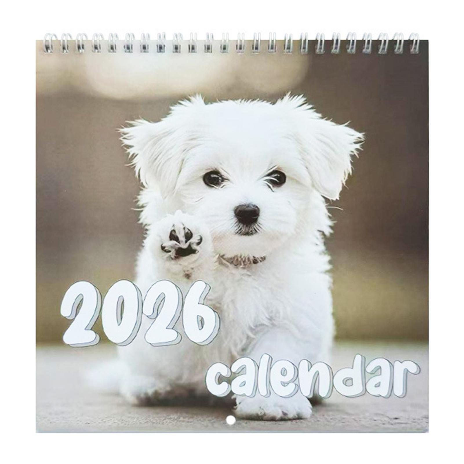 Cute Dog Themed 2026 Spiral Wall Calendar 12 Months Tear-off Pet Calendar with Holiday Markings for Home Decor
Cute Dog Themed 2026 Spiral Wall Calendar 12 Months Tear-off Pet Calendar with Holiday Markings for Home Decor