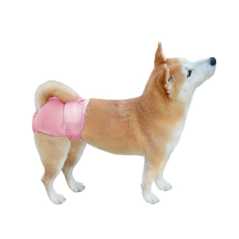 Breathable mesh hole pet physiological pants, Velcro female dog panties, adjustable waistline dog polite belt hot sale S рожевий
Breathable mesh hole pet physiological pants, Velcro female dog panties, adjustable waistline dog polite belt hot sale S рожевий