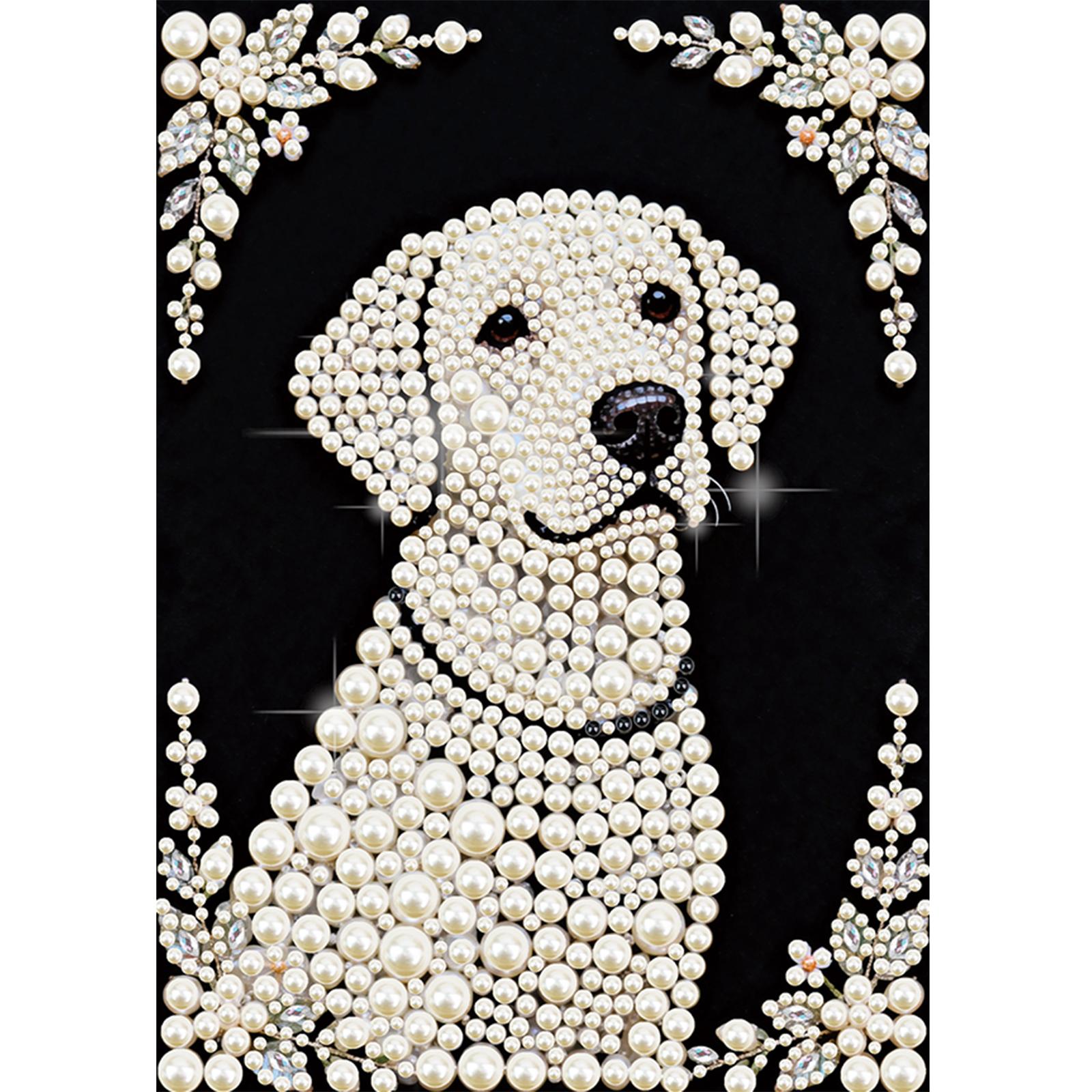 Abstract Special Shaped DIY Partial Drill Pearl Art Painting Set for Adults Home Decor Diamond Art Pearl Painting Kit 30x40cm
Abstract Special Shaped DIY Partial Drill Pearl Art Painting Set for Adults Home Decor Diamond Art Pearl Painting Kit 30x40cm