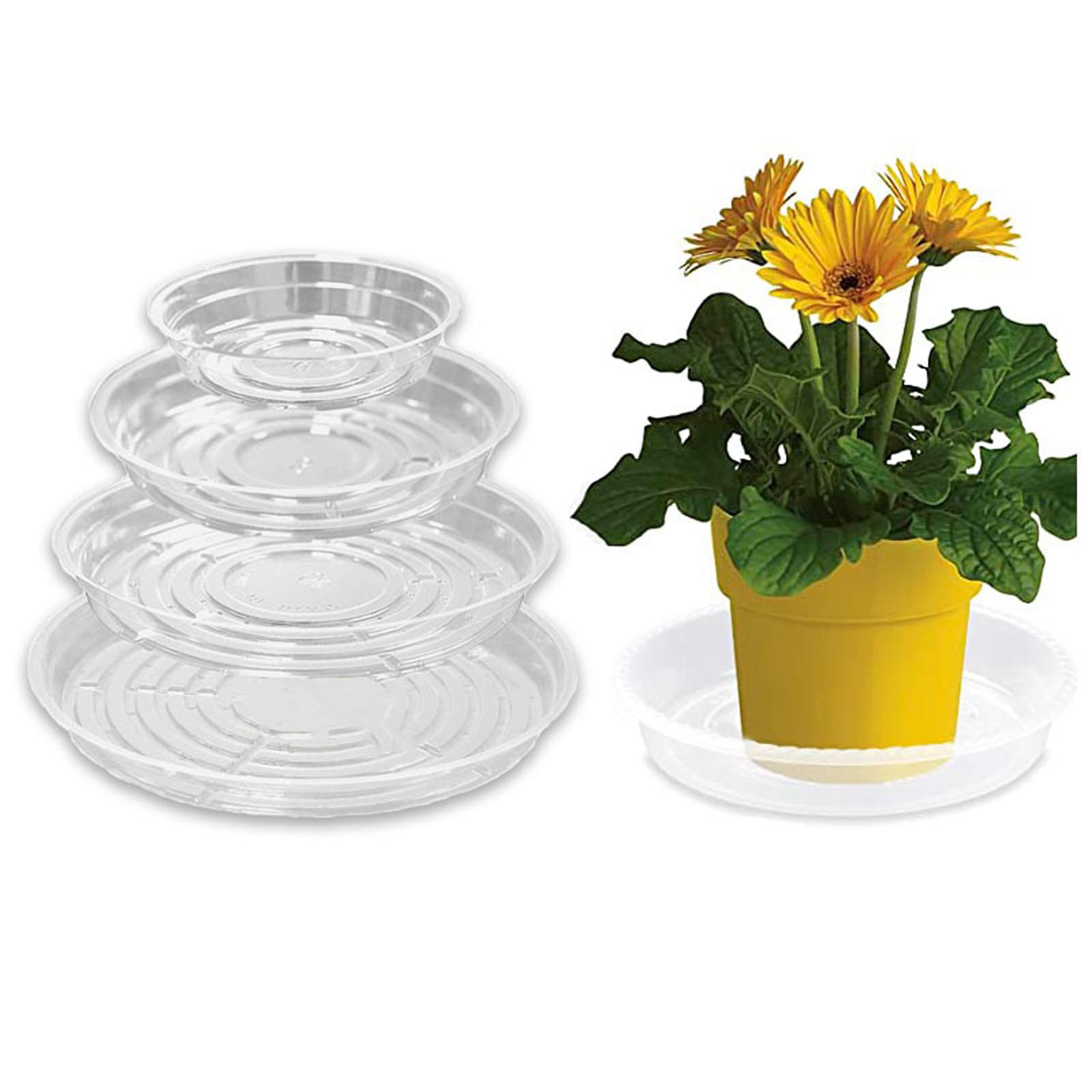 Plant Saucer Tray 6in 8in 10in 12in Heavy Duty Plastic Clear Flower Plant Pot Drip Tray For Indoor Outdoor S белый
Plant Saucer Tray 6in 8in 10in 12in Heavy Duty Plastic Clear Flower Plant Pot Drip Tray For Indoor Outdoor S белый