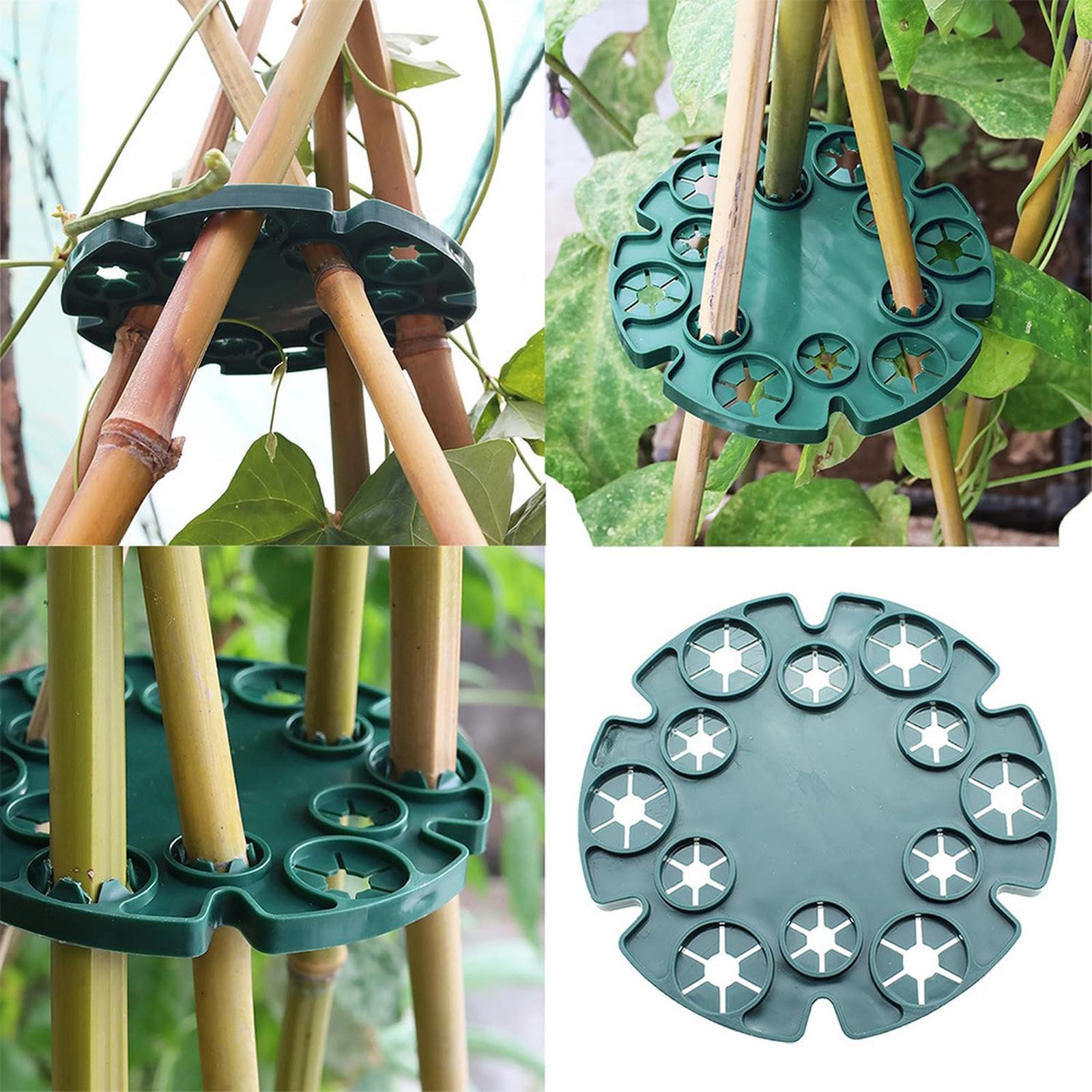 , Tray For Gardens, Plastic-coated Steel Pipe Fixed Bracket For Plant , Green Round Disc Flower Suppor One Size
, Tray For Gardens, Plastic-coated Steel Pipe Fixed Bracket For Plant , Green Round Disc Flower Suppor One Size
