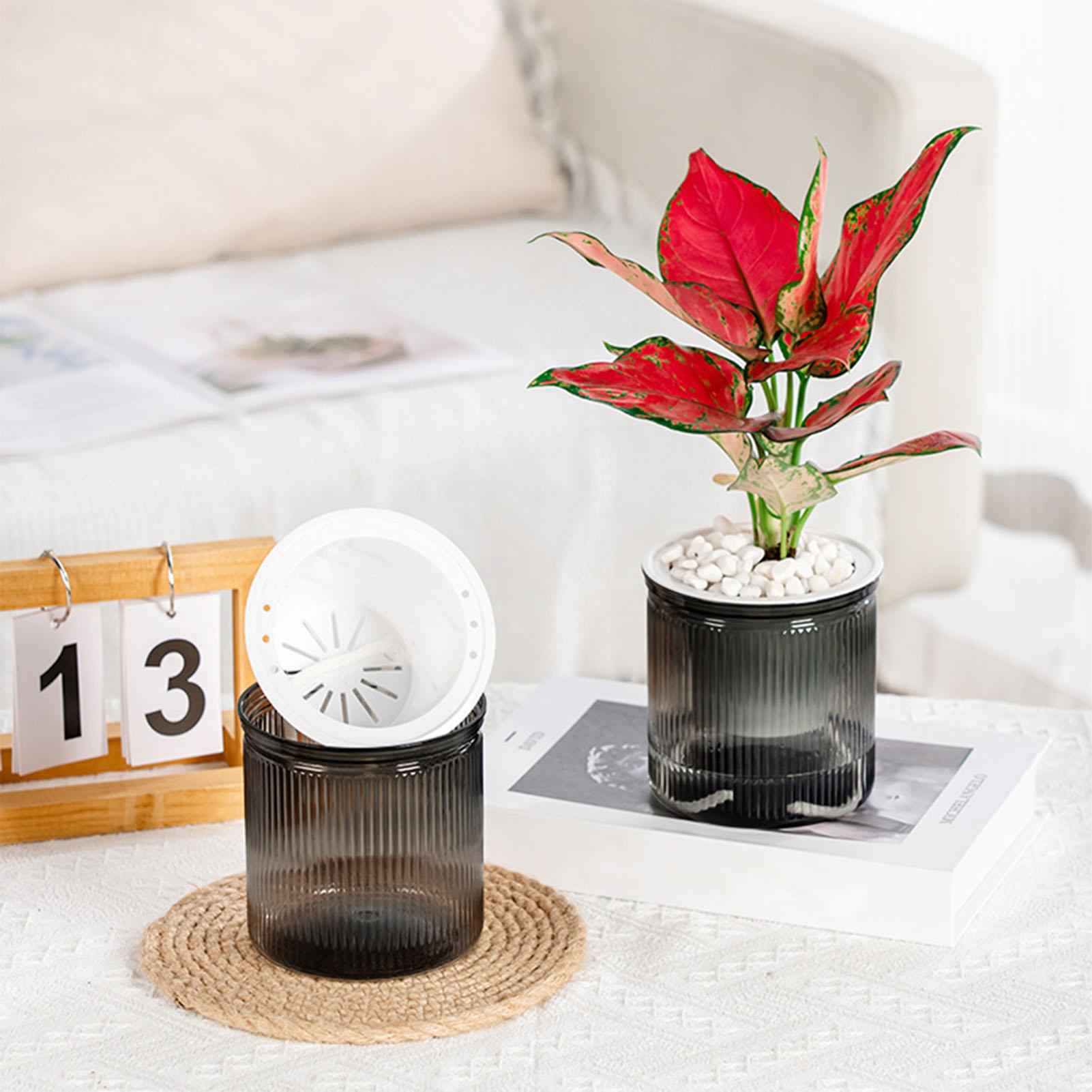 Lazy Hydroponic Flower Pot Self Watering Flowerpot Indoor Mini Succulent Planter Tabletop Vase for Home Garden Bonsai Decoration
Lazy Hydroponic Flower Pot Self Watering Flowerpot Indoor Mini Succulent Planter Tabletop Vase for Home Garden Bonsai Decoration