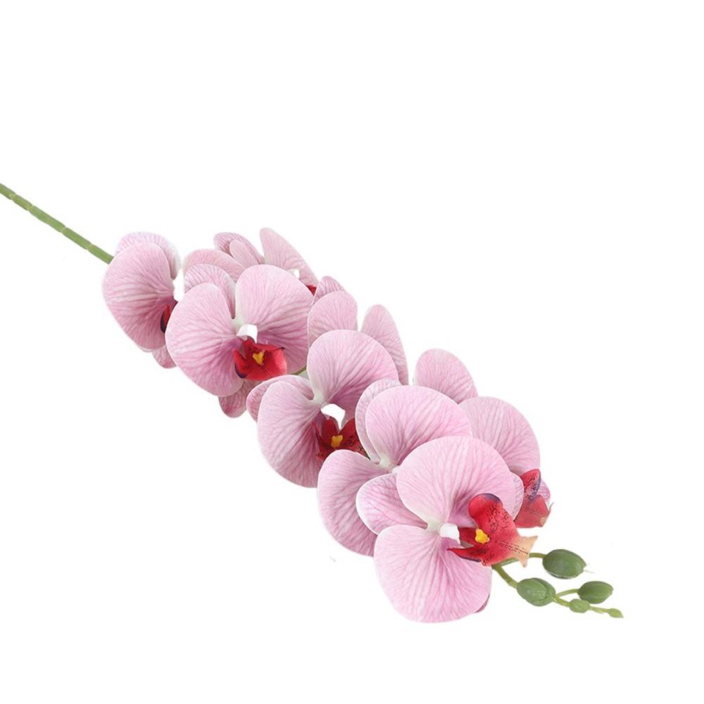 3D Printing Simulation Butterfly Orchid Flower 98cm Fake Moth Orchids Hotel Restaurant Style 12
3D Printing Simulation Butterfly Orchid Flower 98cm Fake Moth Orchids Hotel Restaurant Style 12