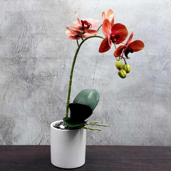 Portable Household Wear-resistant Realistic Wedding DIY Butterfly Orchid Artificial Flowers Fake Potted
Portable Household Wear-resistant Realistic Wedding DIY Butterfly Orchid Artificial Flowers Fake Potted
