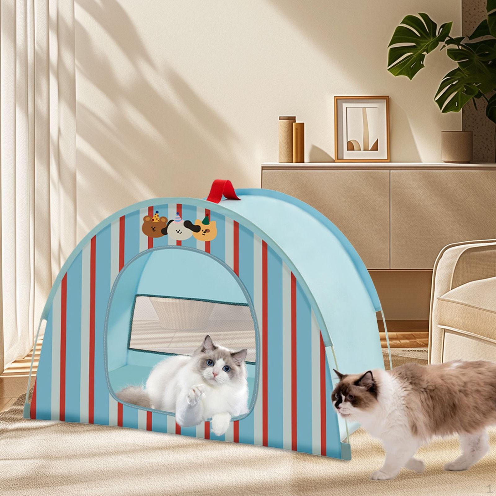 Палатка-домик для кошки, кровать, складная, портативная, милая, для сна питомца, для дома, для собаки, для котенка, щенка M синий
Палатка-домик для кошки, кровать, складная, портативная, милая, для сна питомца, для дома, для собаки, для котенка, щенка M синий