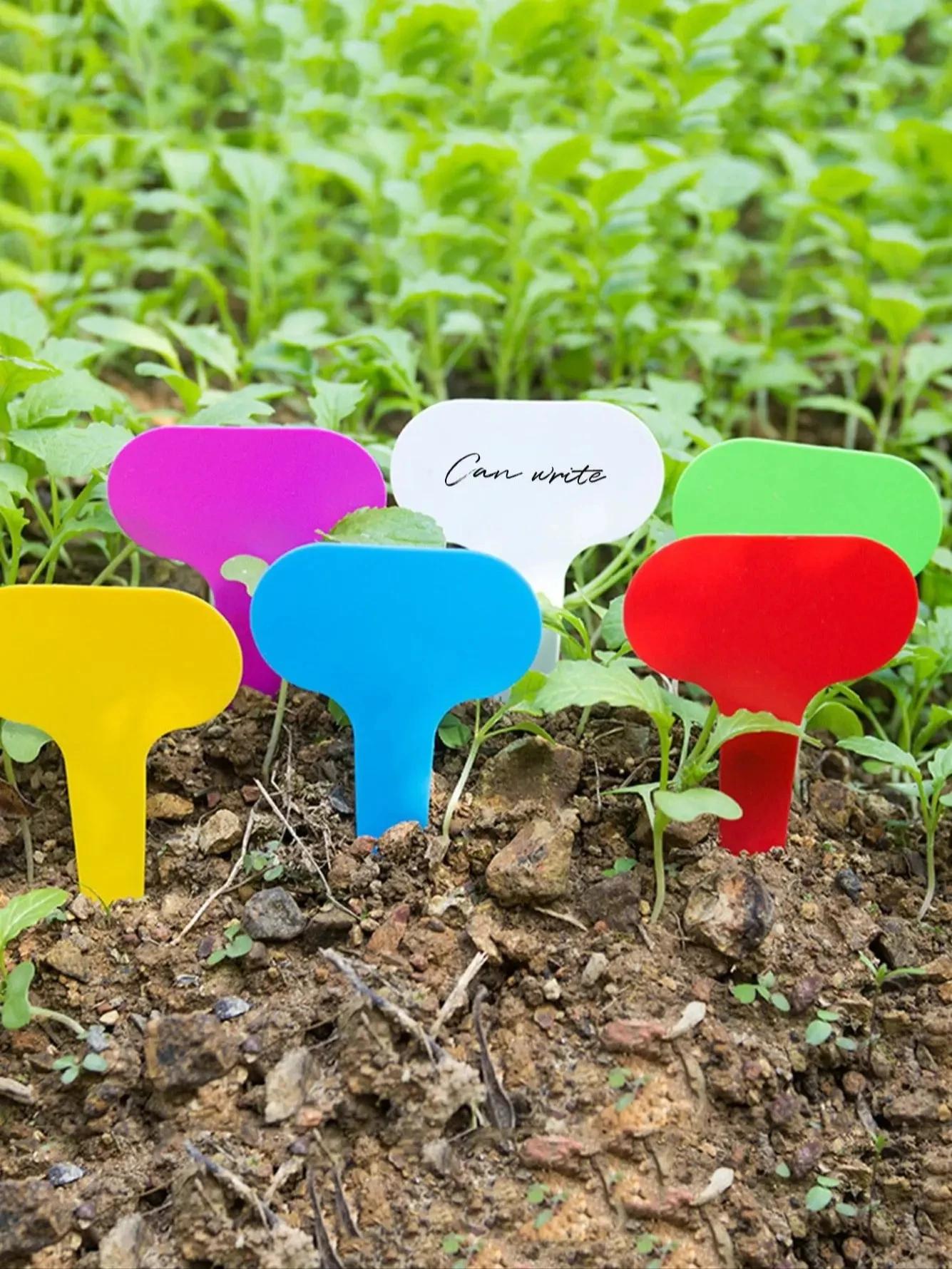 100 шт.-Садовые бирки для растений Т-образные бирки Садовые этикетки Водонепроницаемая бирка для растений для цветочного горшка-Цвет случайный 100pcs
100 шт.-Садовые бирки для растений Т-образные бирки Садовые этикетки Водонепроницаемая бирка для растений для цветочного горшка-Цвет случайный 100pcs
