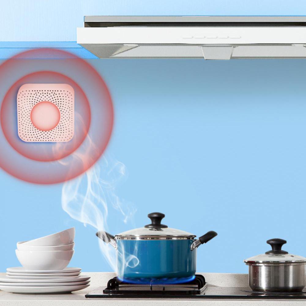 Tuya Smart Gas Alarm Zigbee Combustible Gas Detector Natural Gas Alarm Device Type A
Tuya Smart Gas Alarm Zigbee Combustible Gas Detector Natural Gas Alarm Device Type A