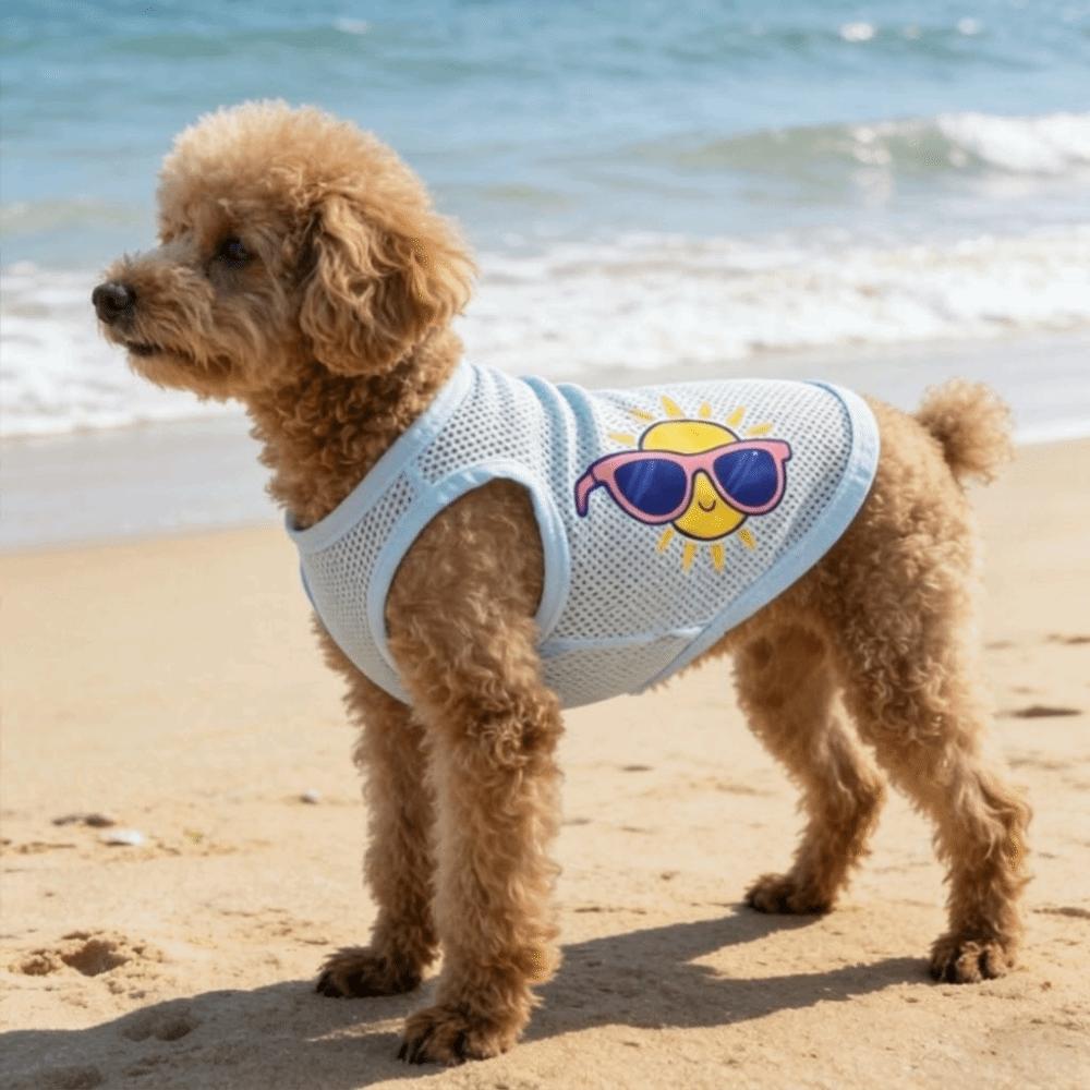 Cooling Dog Summer Clothes Soft Fabric Puppy Short Sleeve Puppy T Shirts Mesh Dog Vest Beach XL розовый
Cooling Dog Summer Clothes Soft Fabric Puppy Short Sleeve Puppy T Shirts Mesh Dog Vest Beach XL розовый