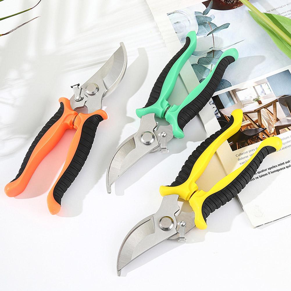 Stainless Steel Flower Fruit Branch Scissors Multi-functional Branch Scissors Gardening Shears Grape Shears Fruit Picking Tool
Stainless Steel Flower Fruit Branch Scissors Multi-functional Branch Scissors Gardening Shears Grape Shears Fruit Picking Tool