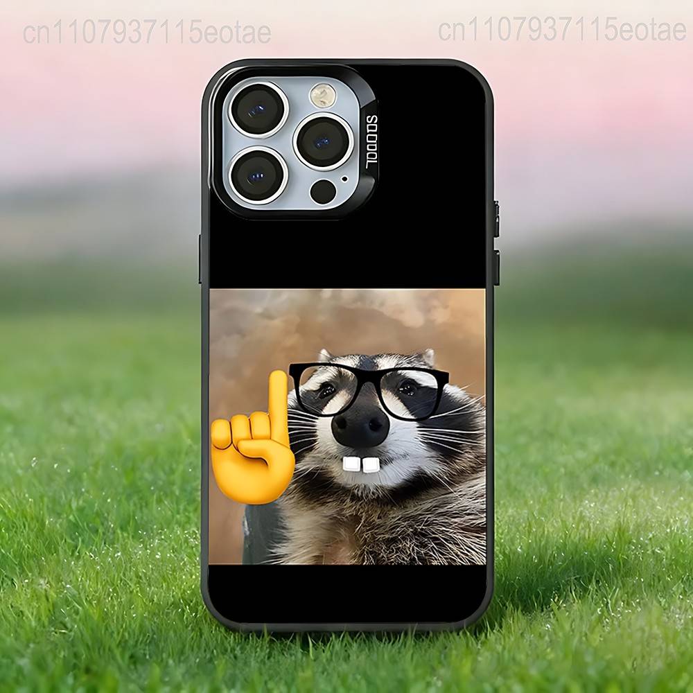 Cute funny Raccoon animal Phone Case For iPhone 17,16,15,14,13,12,11,Pro,XS,Max,Plus,Mini,SE4,E Black Matte Shockproof Cover iPhone17air
Cute funny Raccoon animal Phone Case For iPhone 17,16,15,14,13,12,11,Pro,XS,Max,Plus,Mini,SE4,E Black Matte Shockproof Cover iPhone17air
