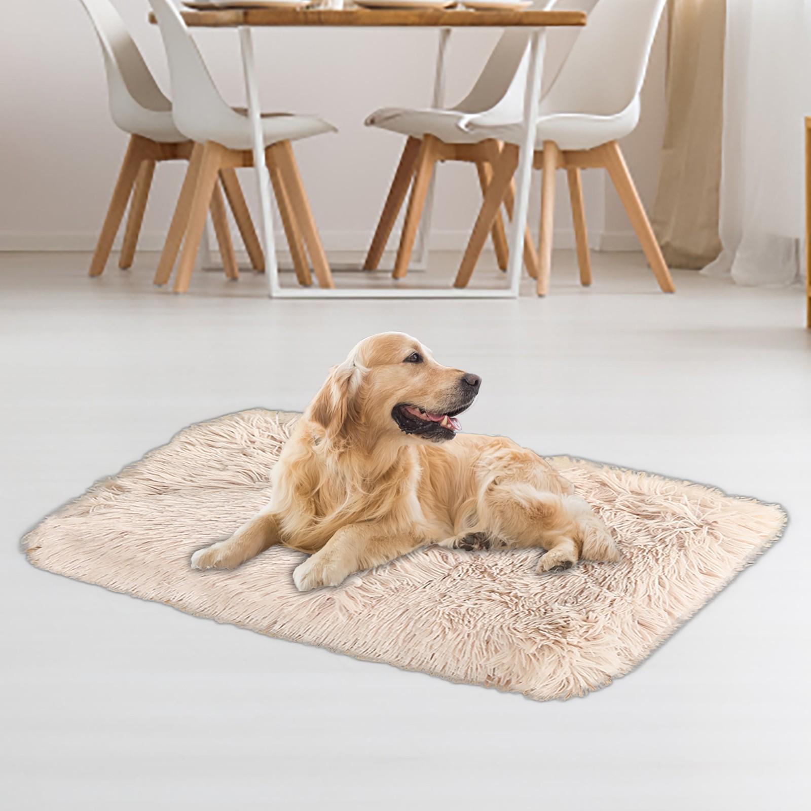 Home Warm Pet Dog Blanket Cat Blanket Pet Plush Mat Solid Color Pet Mat бежевый
Home Warm Pet Dog Blanket Cat Blanket Pet Plush Mat Solid Color Pet Mat бежевый