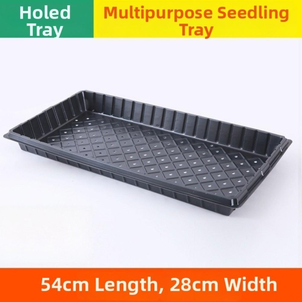 2pcs Reusable 54*28cm Seeding Nursery Tray with Holes Flower Plant Growing Plate Seed Starting Succulent Germination Tray Garden
2pcs Reusable 54*28cm Seeding Nursery Tray with Holes Flower Plant Growing Plate Seed Starting Succulent Germination Tray Garden