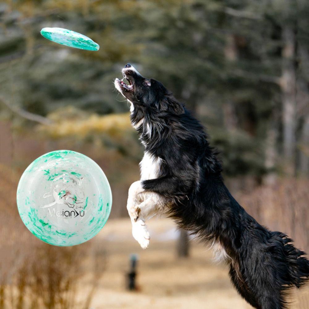 24cm Dog Throwing Type Toy Bite Resistant Pet Floating Toy Dog Interactive Toy For Training
24cm Dog Throwing Type Toy Bite Resistant Pet Floating Toy Dog Interactive Toy For Training