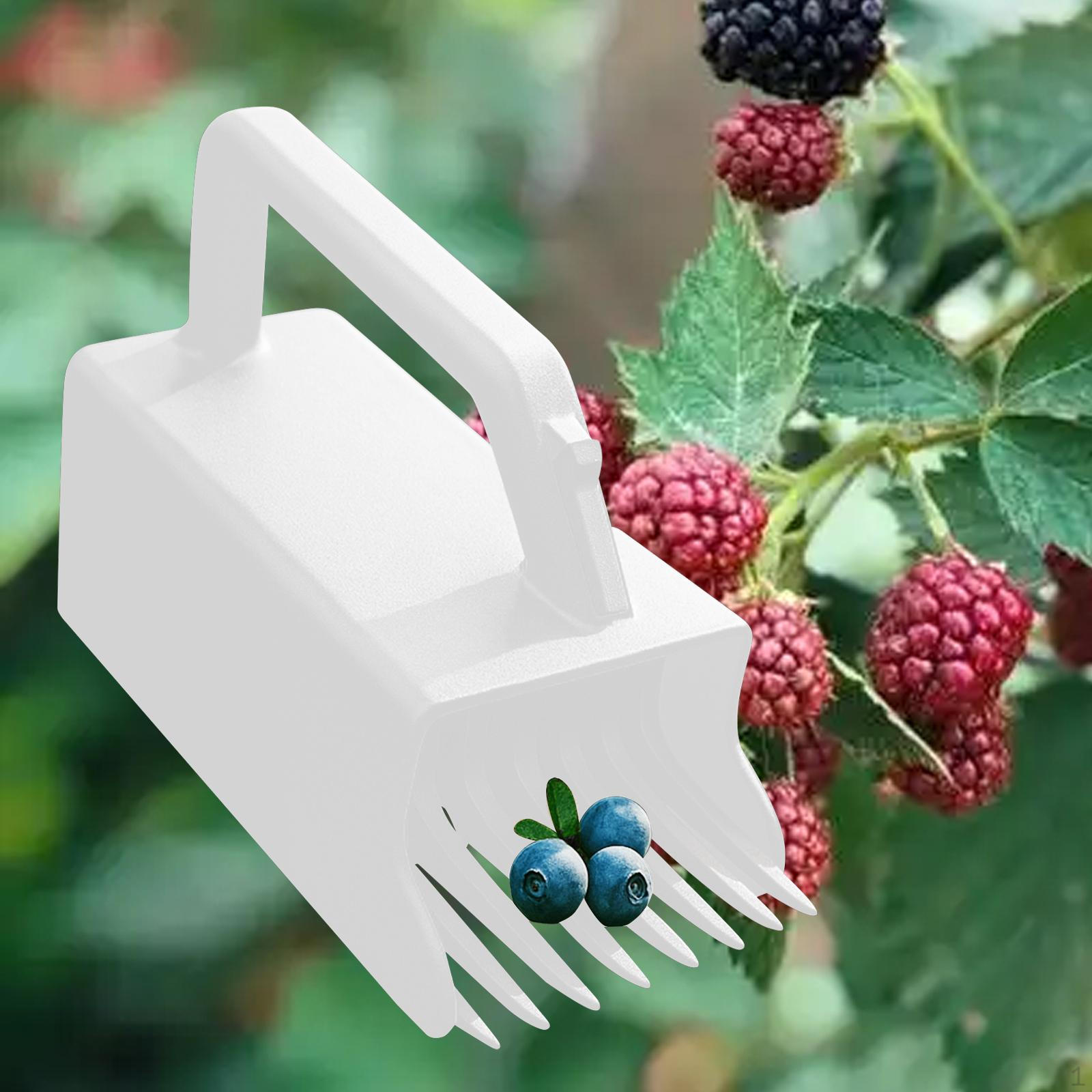 Грабли-сборщик, Легкий инструмент для сбора белый
Грабли-сборщик, Легкий инструмент для сбора белый