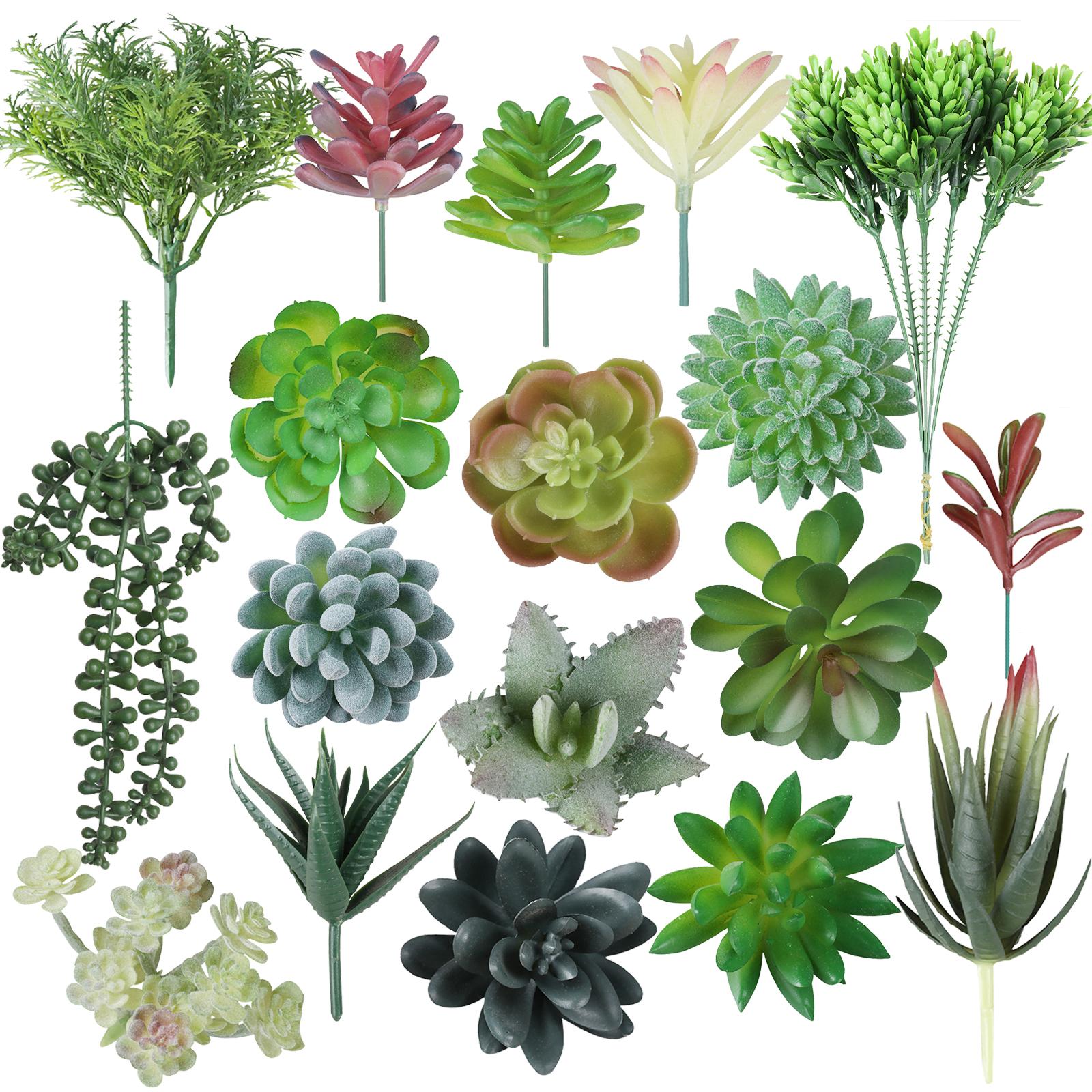 18 шт. искусственные суккуленты мини-поддельные суккуленты растения без горшков Ассортимент искусственных суккулентов премиум-класса для рукоделия дома, сада и офиса
18 шт. искусственные суккуленты мини-поддельные суккуленты растения без горшков Ассортимент искусственных суккулентов премиум-класса для рукоделия дома, сада и офиса