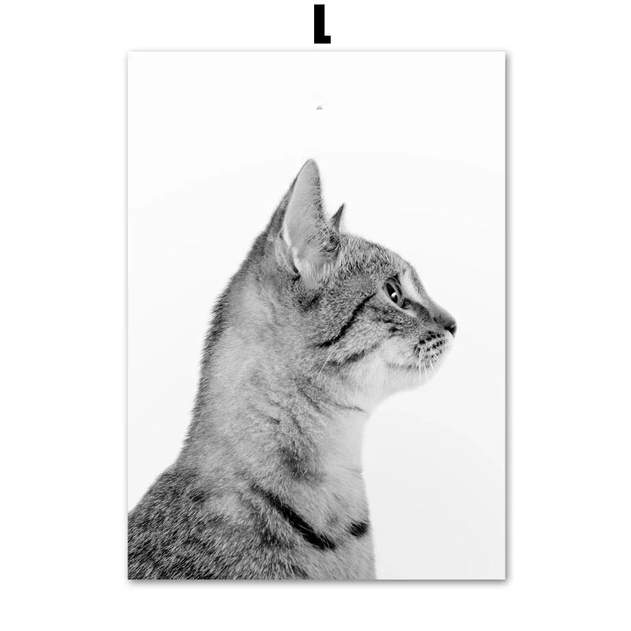 Черно-белый кот и бабочка, забавная картина на холсте с животным, искусство питомца, скандинавские постеры и принты, настенная картина для гостиной 21x30cm No Framed
Черно-белый кот и бабочка, забавная картина на холсте с животным, искусство питомца, скандинавские постеры и принты, настенная картина для гостиной 21x30cm No Framed